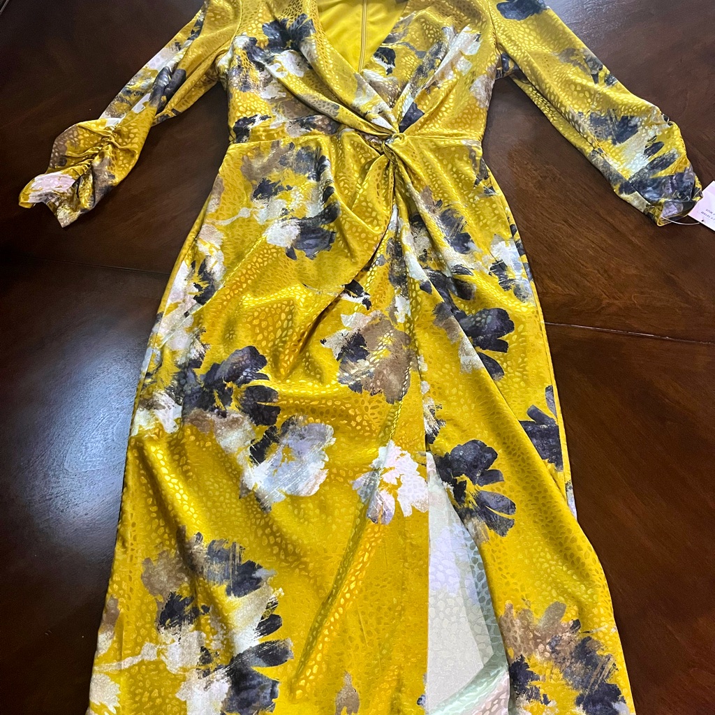 Taylor Brand Dress